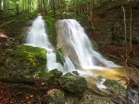 Astgewirr im Abfluß beim ersten Wasserfall